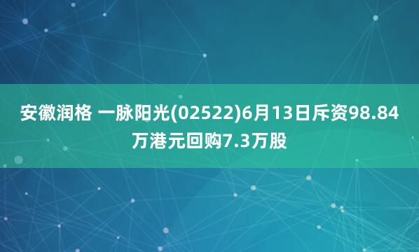 安徽润格 一脉阳光(02522)6月13日斥资98.84万港元回购7.3万股