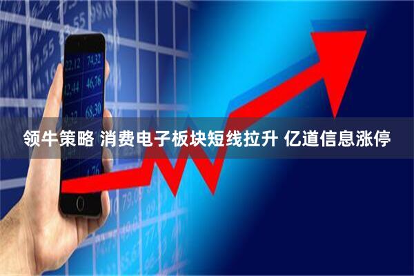 领牛策略 消费电子板块短线拉升 亿道信息涨停