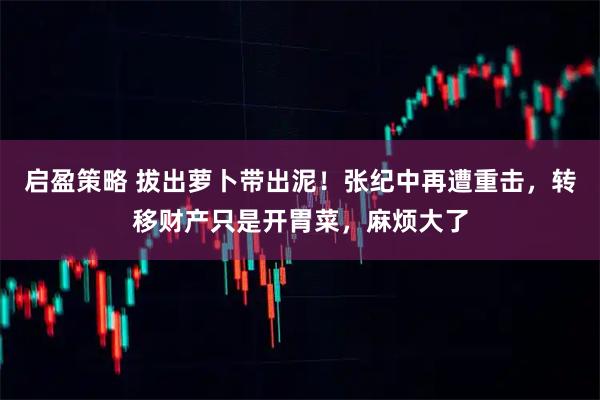 启盈策略 拔出萝卜带出泥！张纪中再遭重击，转移财产只是开胃菜，麻烦大了