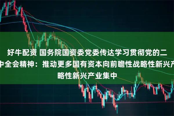 好牛配资 国务院国资委党委传达学习贯彻党的二十届四中全会精神：推动更多国有资本向前瞻性战略性新兴产业集中